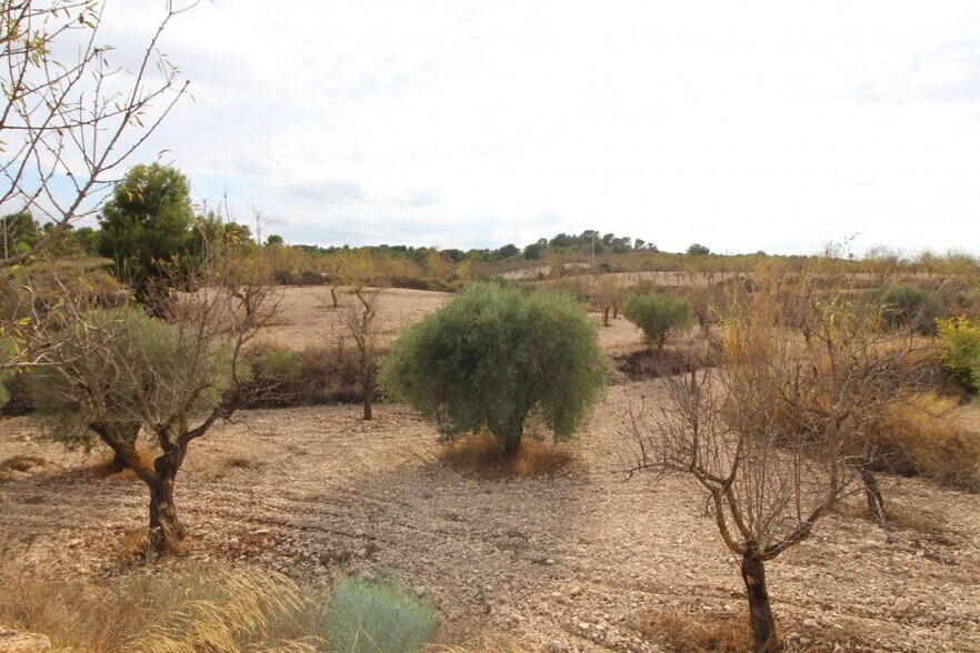 Land in Hondón de los Frailes, Alicante for sale - Building Photo - Image 2 of 2