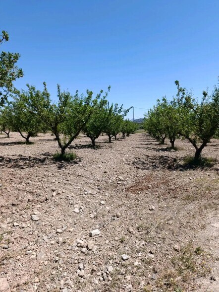 Land in Cehegín, Murcia for sale - Building Photo - Image 2 of 12