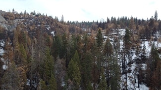 Plus de détails pour 0 Woodland Road Rd, Shaver Lake, CA - Terrain à vendre