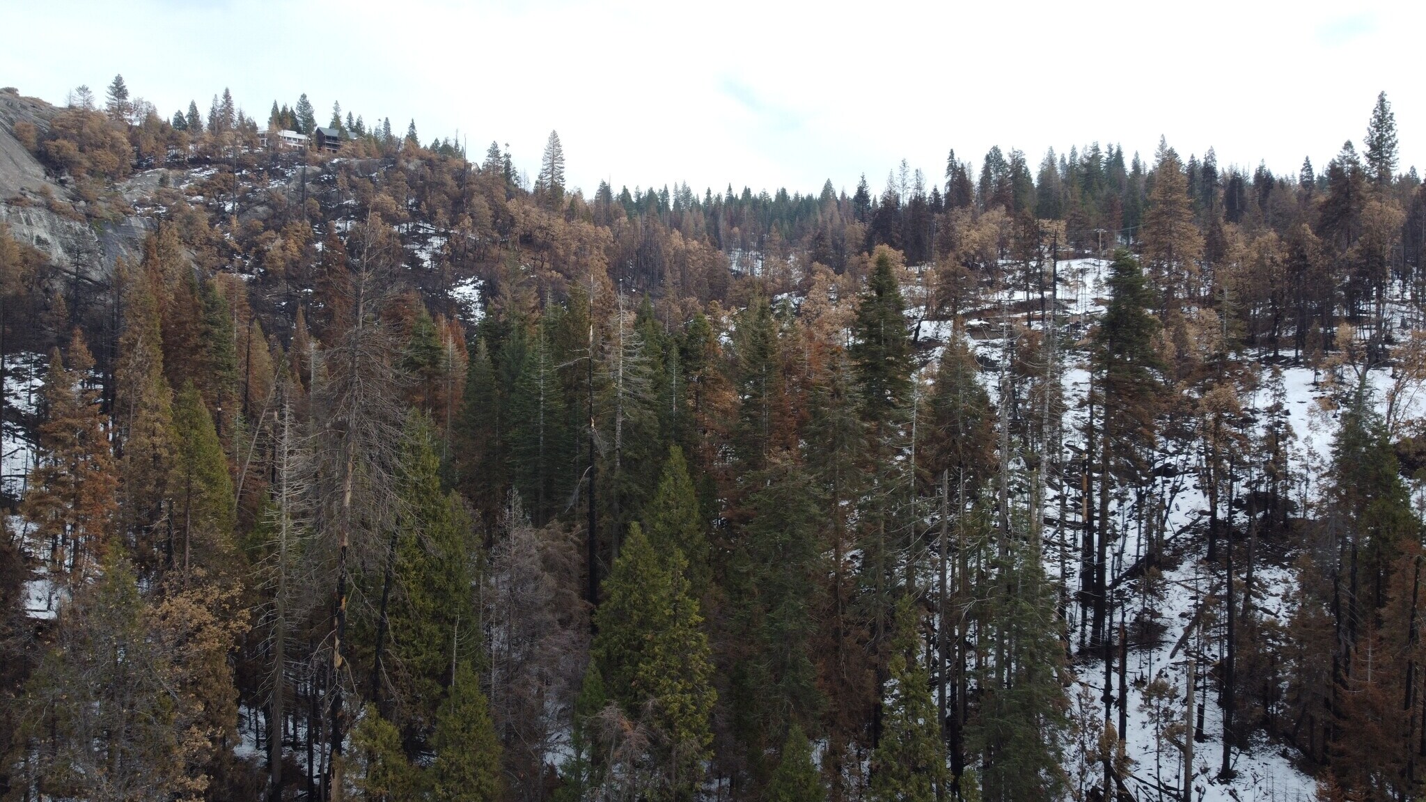 0 Woodland Road Rd, Shaver Lake, CA for sale Primary Photo- Image 1 of 10