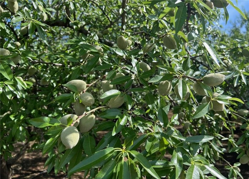 1192 E Gerard Ave, Merced, CA à vendre - Photo du bâtiment - Image 3 de 6