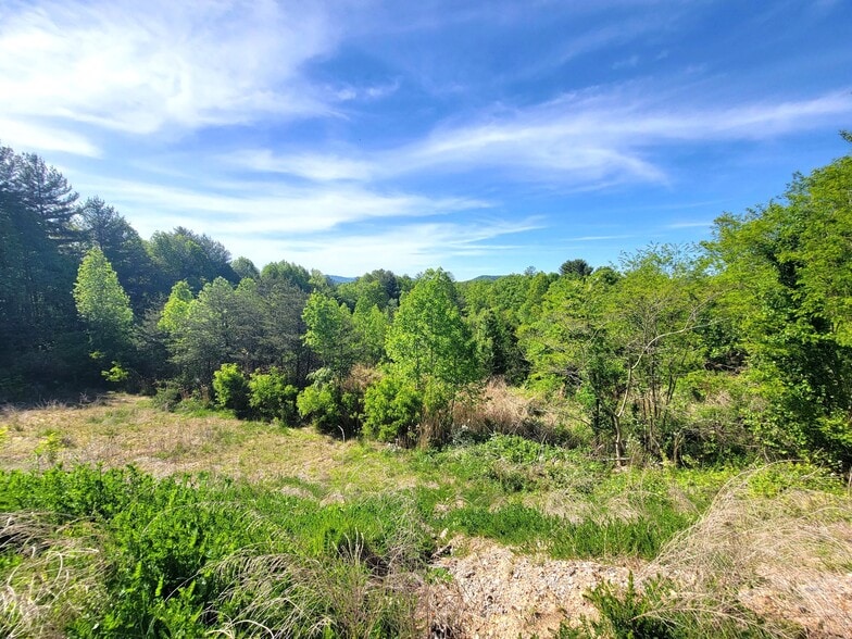 9999 Airport Rd, Arden, NC à vendre - Photo du bâtiment - Image 3 de 6