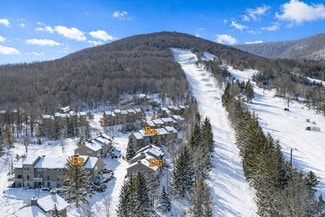 Plus de détails pour 84 Highlands Drive, Hunter, NY - Spécialité à vendre