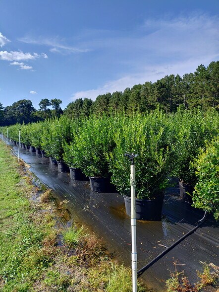 224 Co Rd 096, Jasper, TX à vendre - Photo du bâtiment - Image 2 de 16