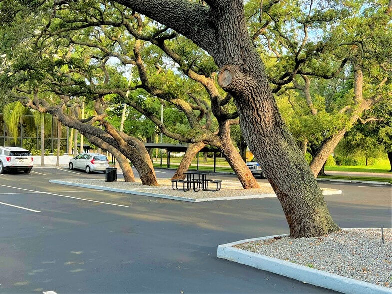 5999 Central Ave, Saint Petersburg, FL for lease - Other - Image 3 of 15