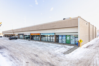 Plus de détails pour 10441-10459 172 St NW, Edmonton, AB - Flex à louer