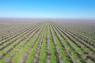 Plus de détails pour Avenue 24 & Road 40, Alpaugh, CA - Terrain à vendre