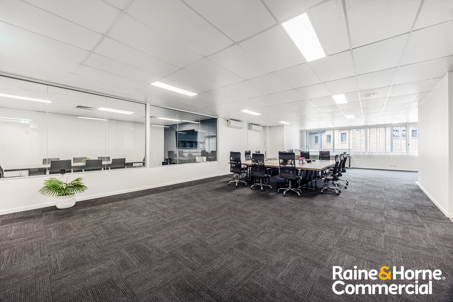 752 Parramatta Rd, Lewisham à louer Photo intérieure- Image 1 de 6