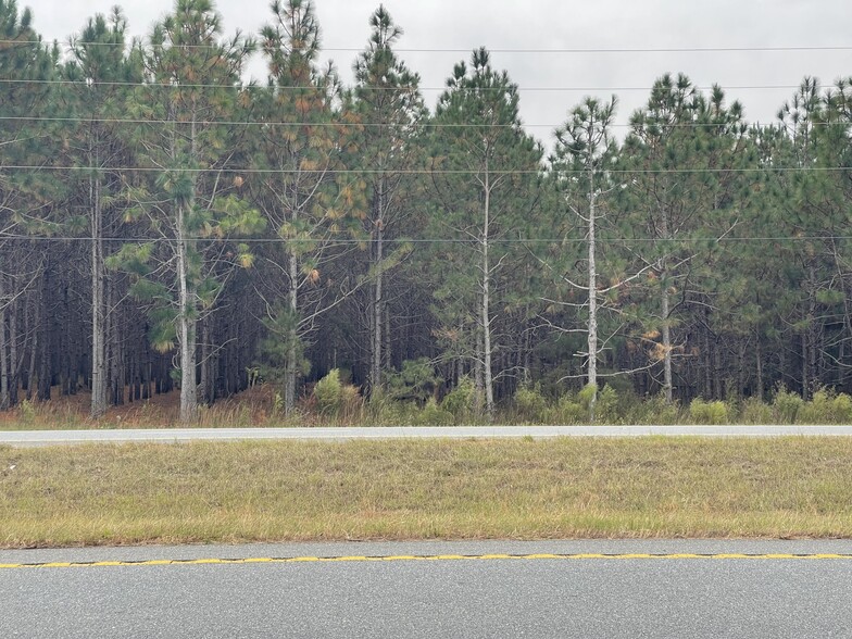 U.S. 341, Fort Valley, GA for sale - Primary Photo - Image 1 of 5