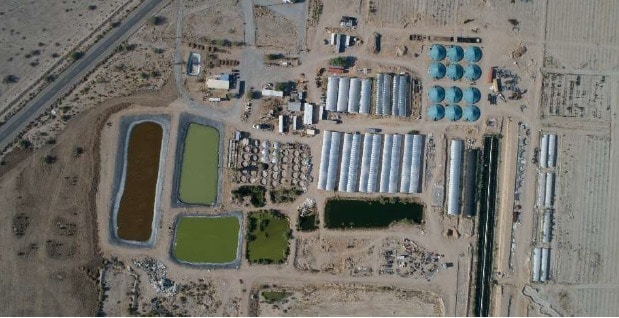 26301 Rice Rd, Desert Center, CA for sale - Aerial - Image 2 of 7