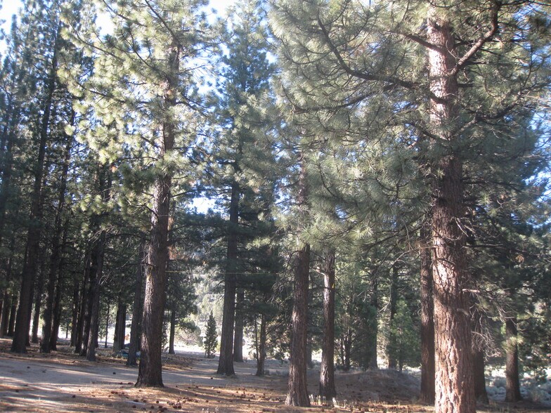 2818 Erwin Ranch Rd, Big Bear City, CA à vendre - Autre - Image 2 de 3