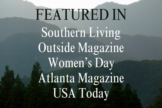 Plus de détails pour 171 Lakeview Lodge Dr, Bryson City, NC - Services hôteliers à vendre