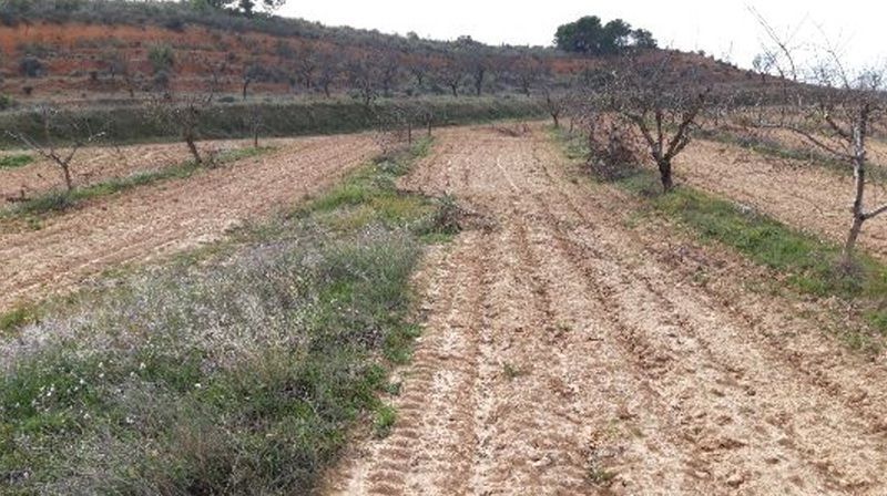 Camino de los Charquillos, Yecla, Murcia for lease - Site Plan - Image 2 of 9