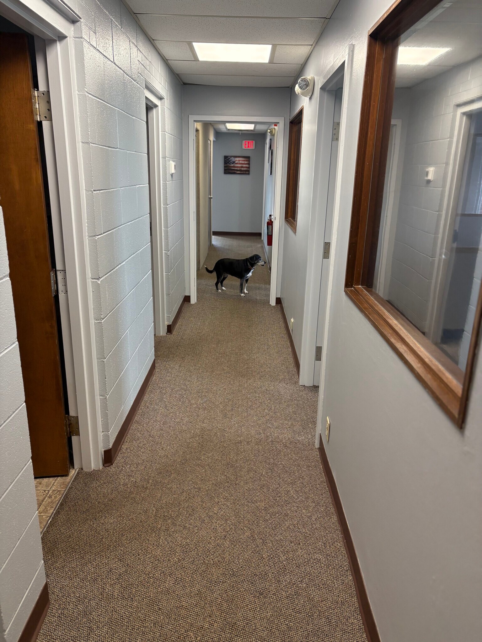 4155 Martindale Rd NE, Canton, OH à louer Photo du bâtiment- Image 1 de 7