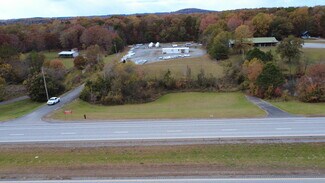 Plus de détails pour 9415 US-411, Delano, TN - Terrain à vendre