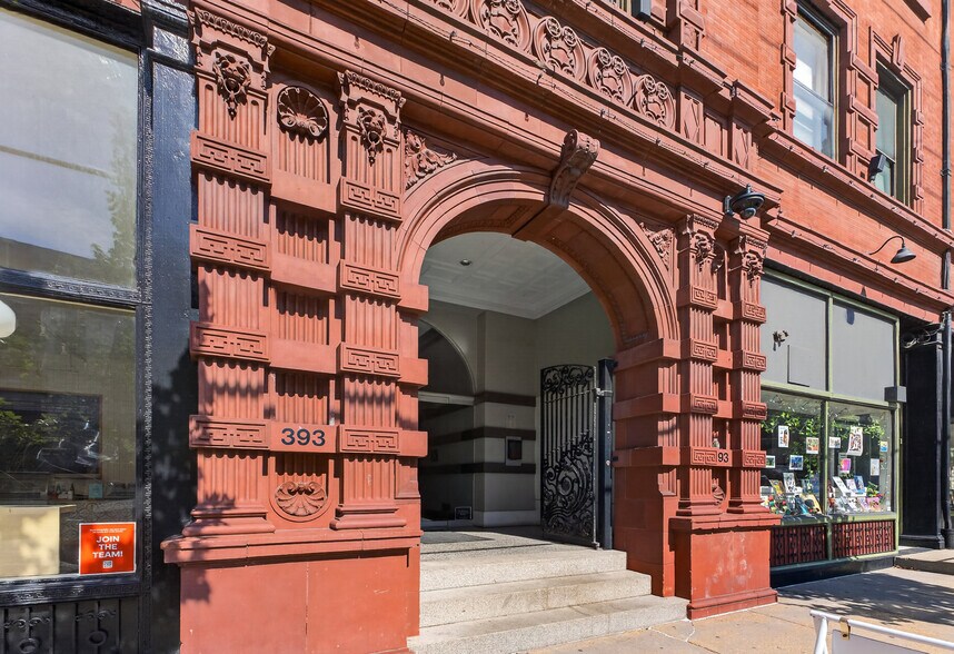 387-399 N Euclid Ave, Saint Louis, MO à louer - Photo du bâtiment - Image 3 de 11