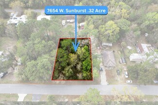 Plus de détails pour Sunburst Opportunity Zone Portfolio – Terrain à vendre, Homosassa, FL