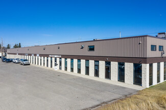 Plus de détails pour 1165 44th Ave SE, Calgary, AB - Industriel à louer