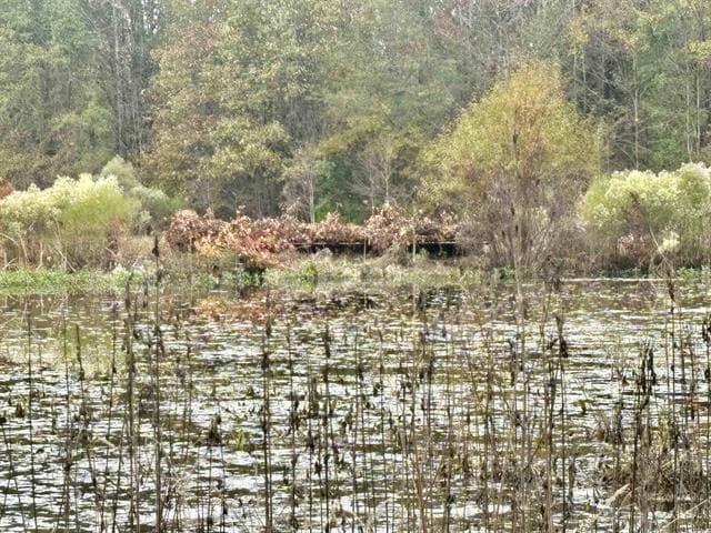 293 E Sidney Noble Ln, DeWitt, AR for sale - Other - Image 3 of 49