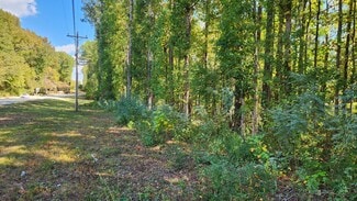 Plus de détails pour 20.69 Acres on Bullsboro Drive Dr, Newnan, GA - Terrain à vendre