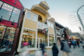 Plus de détails pour 608 Parkway, Gatlinburg, TN - Commerce de détail à vendre