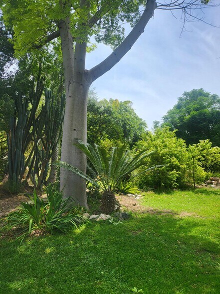 18552 Erwin St, Tarzana, CA à louer - Photo du bâtiment - Image 2 de 24