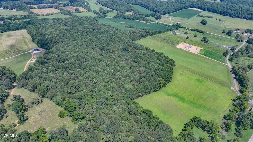 170 McCall Rd, Limestone, TN à vendre - Aérien - Image 3 de 6