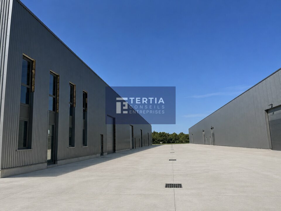 Industrial in Montpellier for lease Building Photo- Image 1 of 6