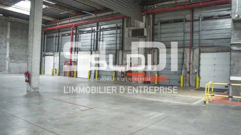 Flex dans Vénissieux à louer - Photo intérieure - Image 3 de 6