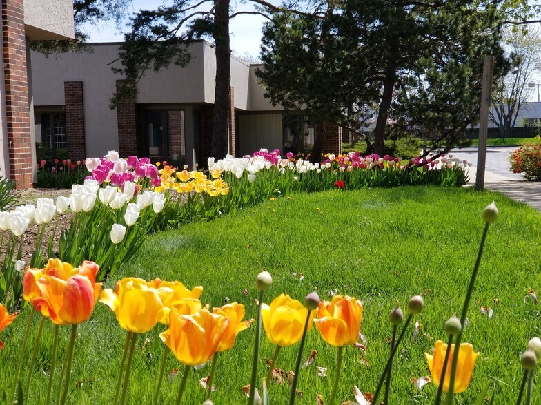 1117 S Milwaukee Ave, Libertyville, IL à vendre - Photo principale - Image 1 de 6