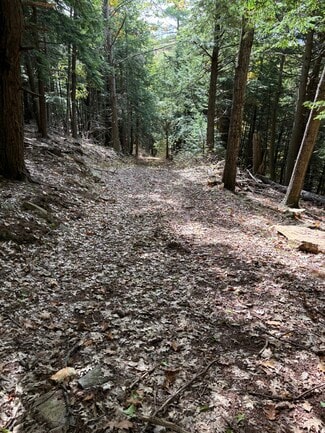 Plus de détails pour 00 Quarry Rd, Chester, VT - Terrain à vendre