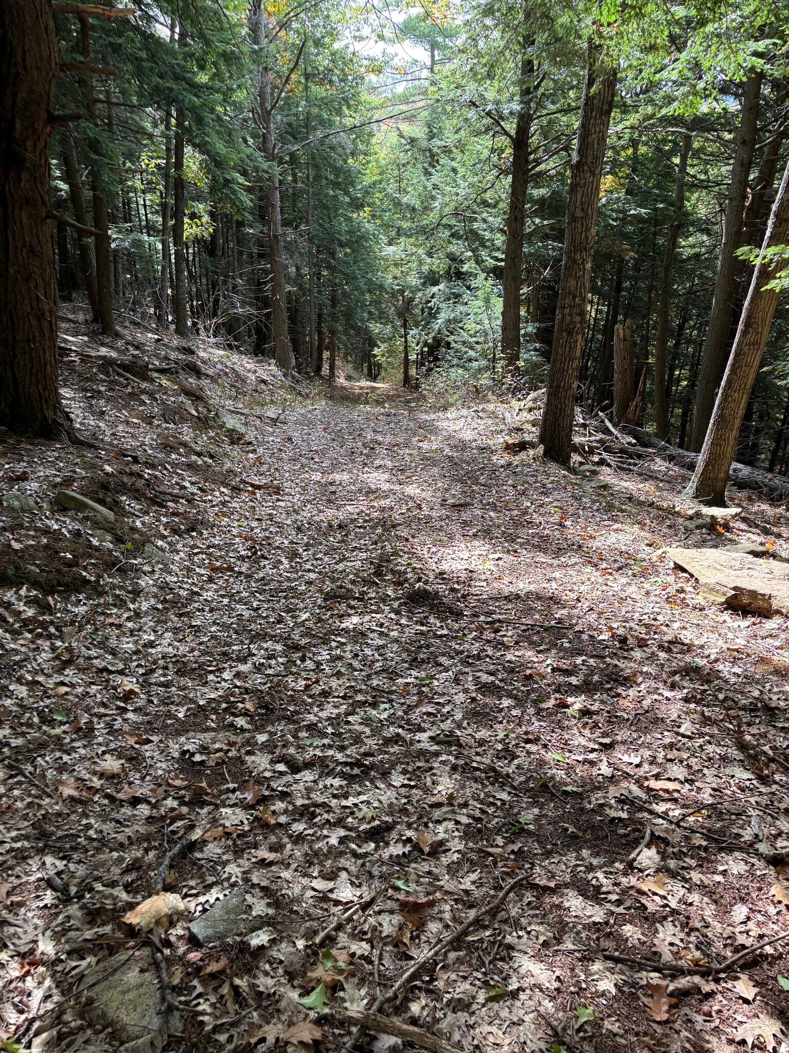00 Quarry Rd, Chester, VT à vendre Photo du bâtiment- Image 1 de 11