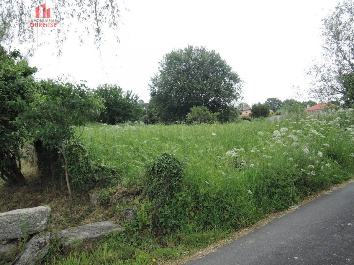 Land in Amoeiro, Orense for sale Primary Photo- Image 1 of 7