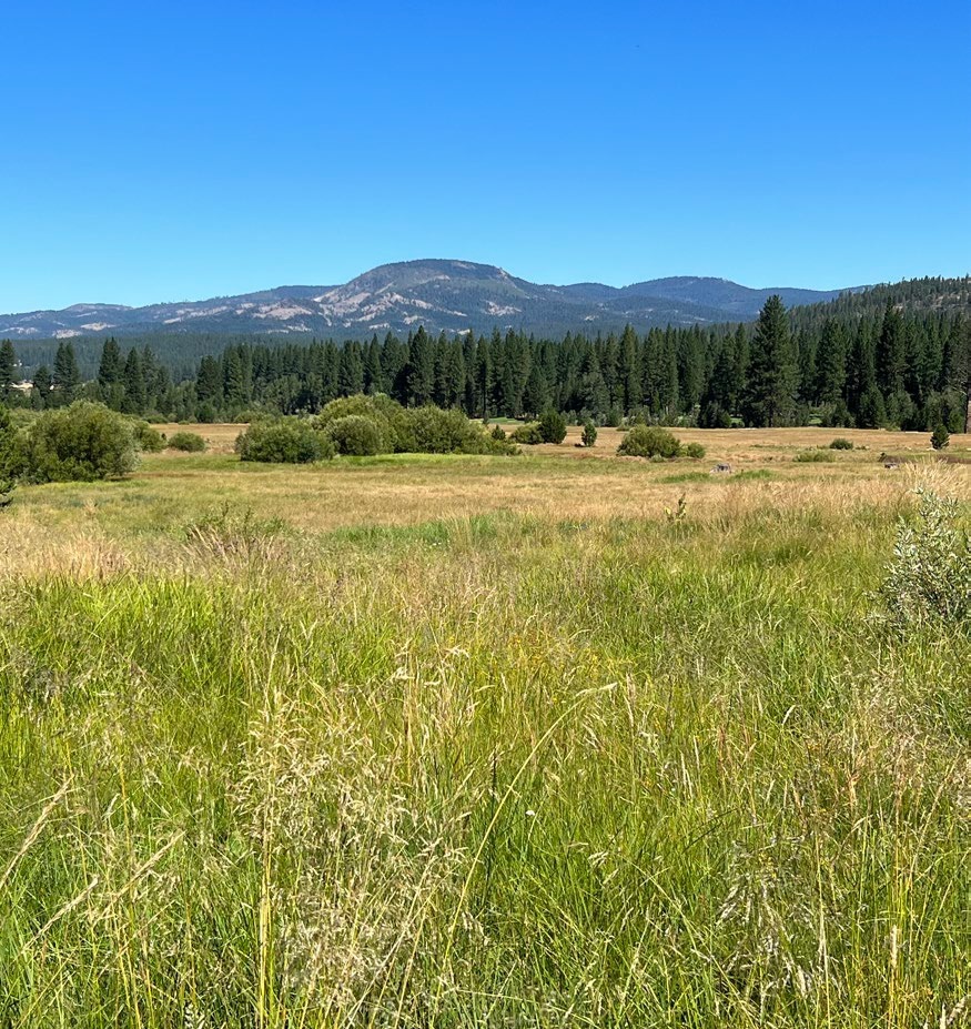 475 Old Hatchery Road, Clio, CA for sale Primary Photo- Image 1 of 13