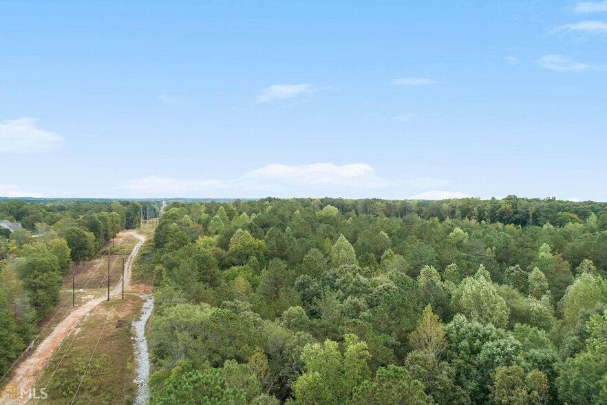 GA Hwy 85 S, Senoia, GA à vendre - Photo du bâtiment - Image 3 de 4