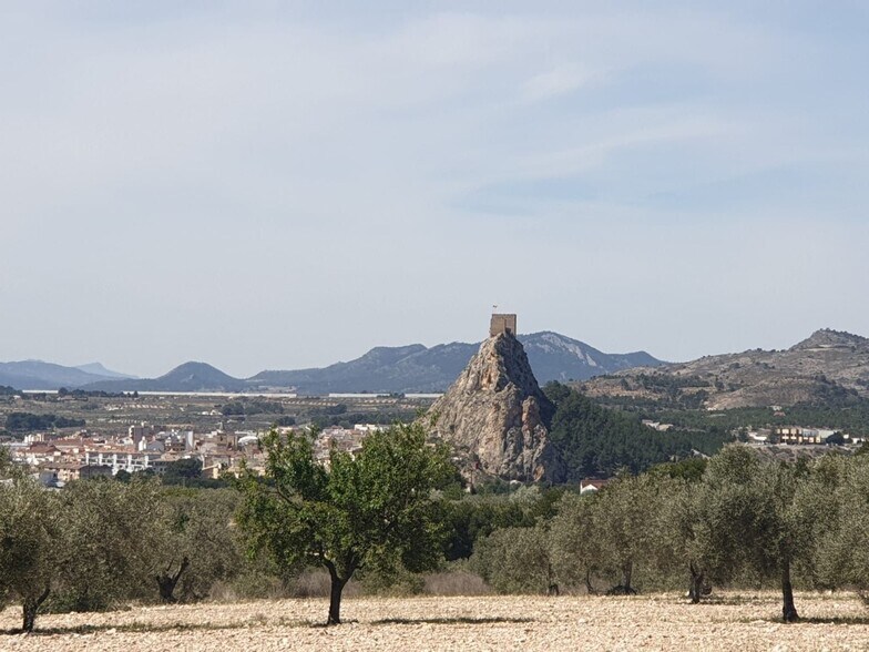 Land in Sax, Alicante for sale - Aerial - Image 2 of 5