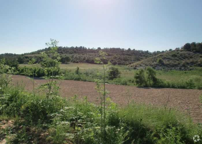 Land in Ocaña, Toledo for sale - Primary Photo - Image 1 of 22