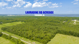 Plus de détails pour 0 Laurendine Road, Theodore, AL - Terrain à vendre