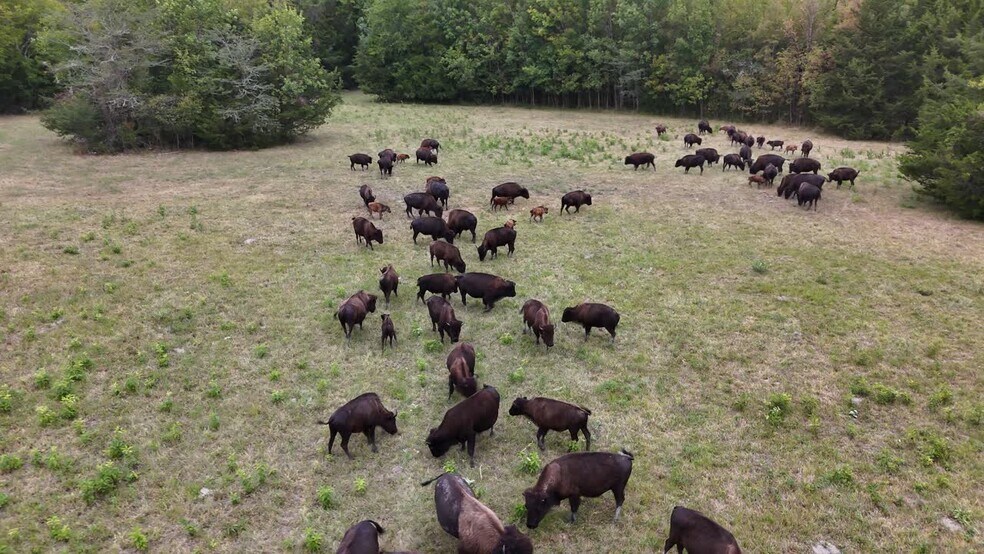 6040 AL-28, Pine Apple, AL for sale - Commercial Listing Video - Image 2 of 27