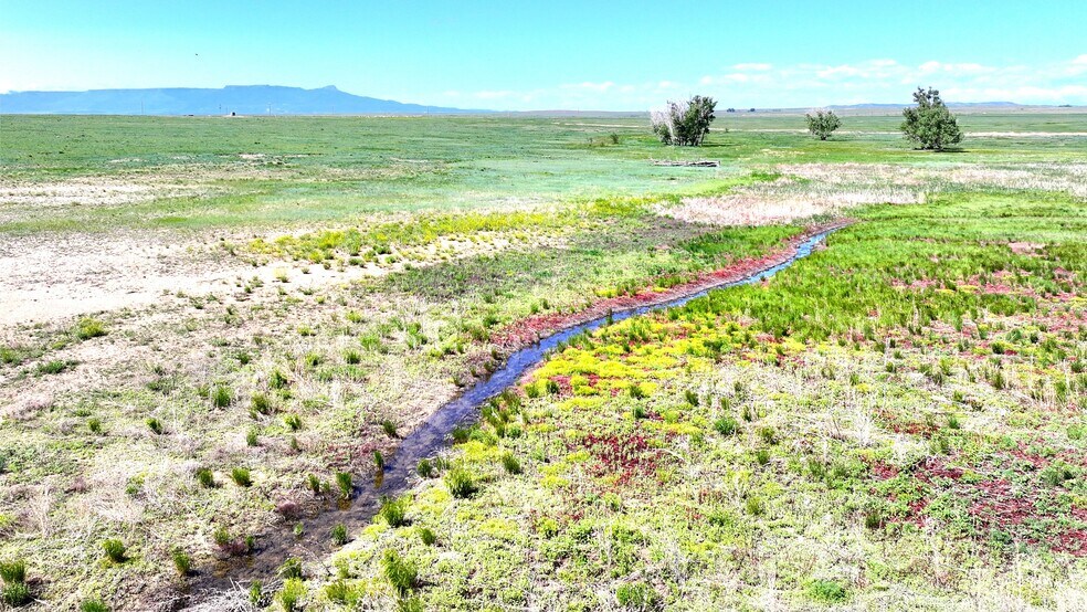 48999 County Road 48, Model, CO for sale - Building Photo - Image 3 of 86