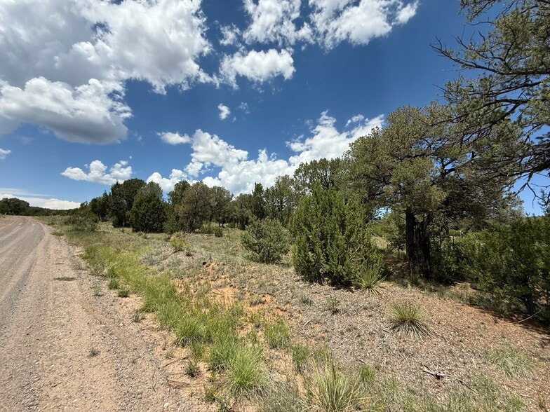 44 Forest 321 Rd, Estancia, NM à vendre - Photo du bâtiment - Image 3 de 32