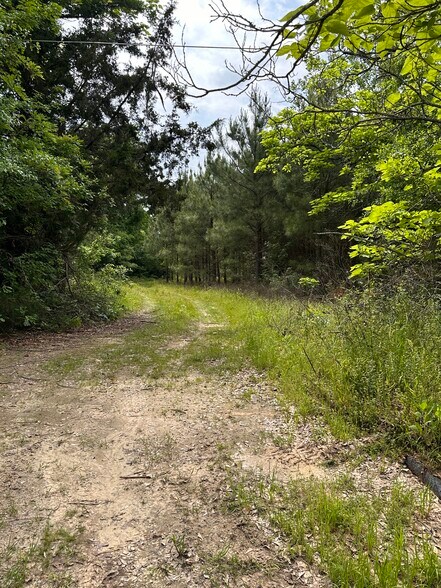 4521 Gregg Tex Rd, Longview, TX for sale - Primary Photo - Image 1 of 23