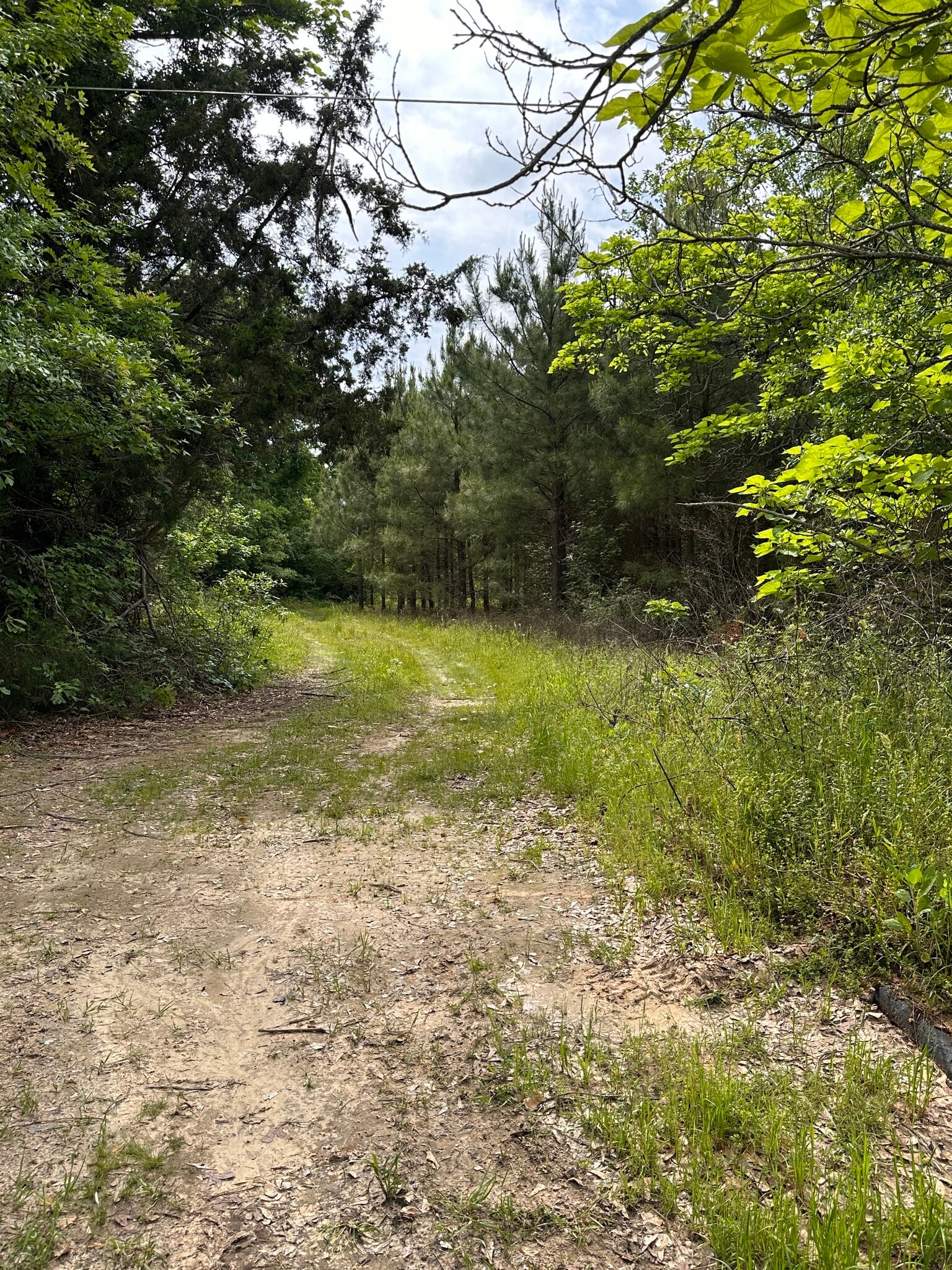 4521 Gregg Tex Rd, Longview, TX for sale Primary Photo- Image 1 of 24