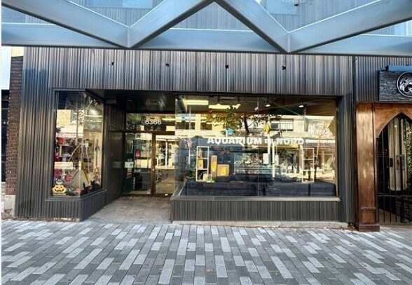 6364-6366 Rue Saint-Hubert, Montréal, QC à vendre Photo du bâtiment- Image 1 de 1