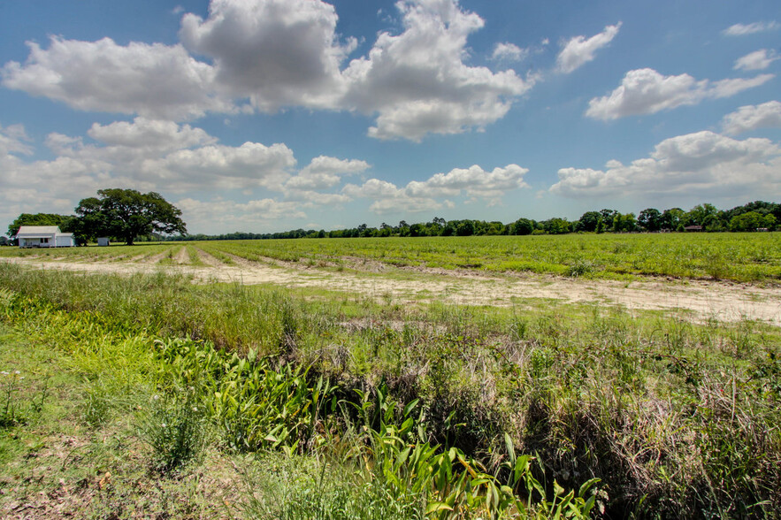 0 Highway 167, Abbeville, LA à vendre - Autre - Image 1 de 1