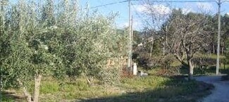 More details for Land for Sale