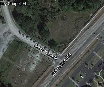 6225 Old Pasco Rd, Wesley Chapel, FL à vendre - Aérien - Image 2 de 3