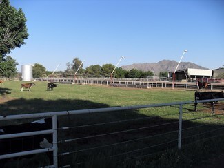 Plus de détails pour 15225 E Riggs Rd, Gilbert, AZ - Terrain à vendre