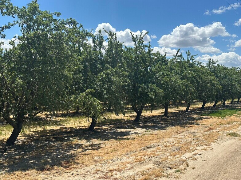 Manning & Jameson Avenue, Fresno, CA à vendre - Photo du bâtiment - Image 2 de 16