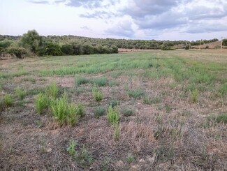 More details for Land for Sale